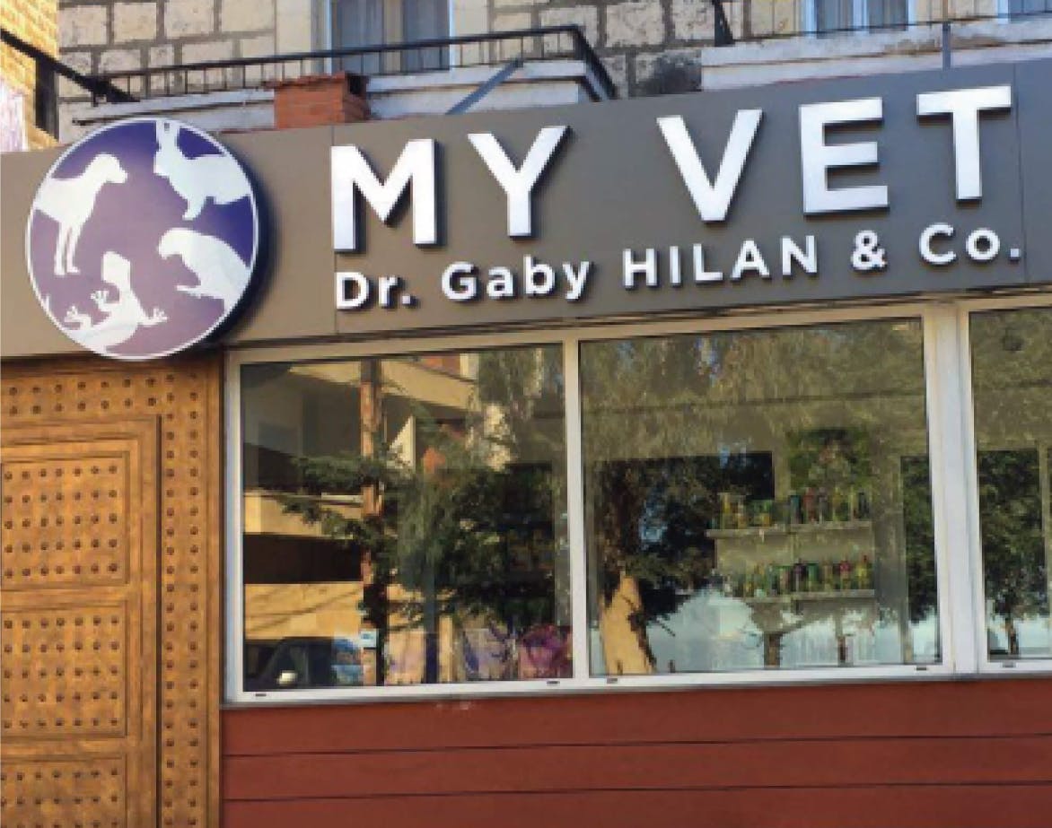 My Vet Case Study